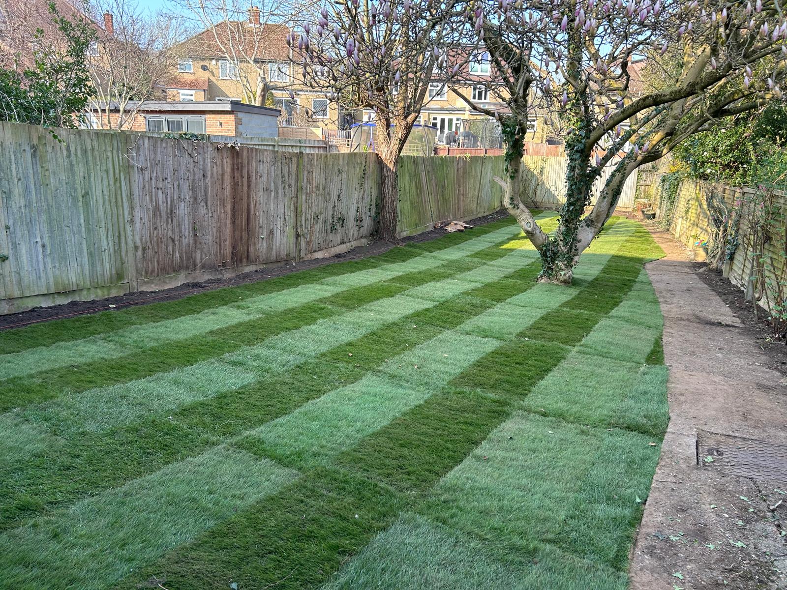 Beautiful lawn care and garden maintenance